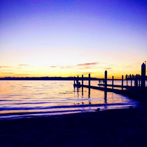 Meet your Posher, Riley